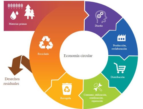 Hablamos sobre economía circular y su relación con la gestión de residuos